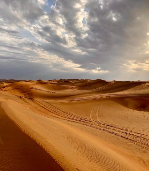 Guide francophone Émirat Arabes Unis, Dubaï..