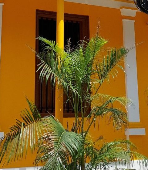 Guide francophone Inde Pondichéry