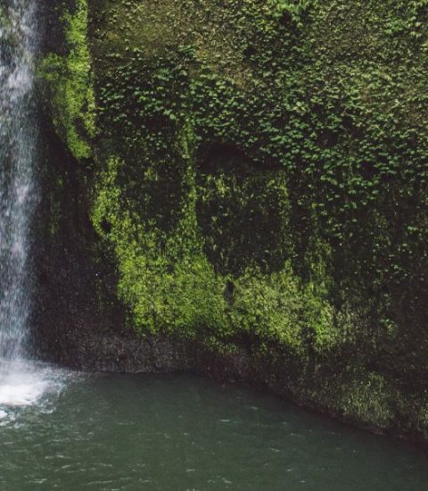 Guide francophone Indonésie Bali Java