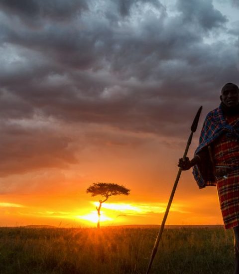 Guide francophone Kenya Mombassa