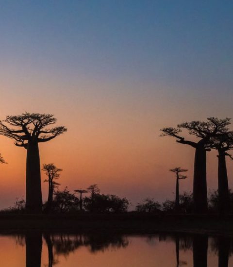 Guide francophone Madagascar Antananarivo