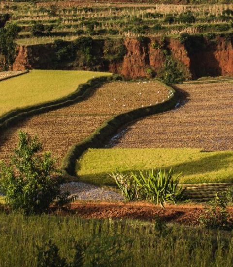 Guide francophone Madagascar Antsirabe