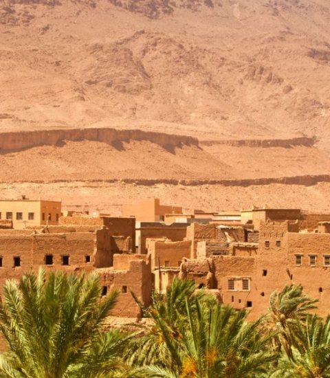 Guide francophone Maroc Zagora