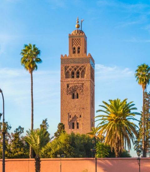 Guide francophone Marrakesh Maroc