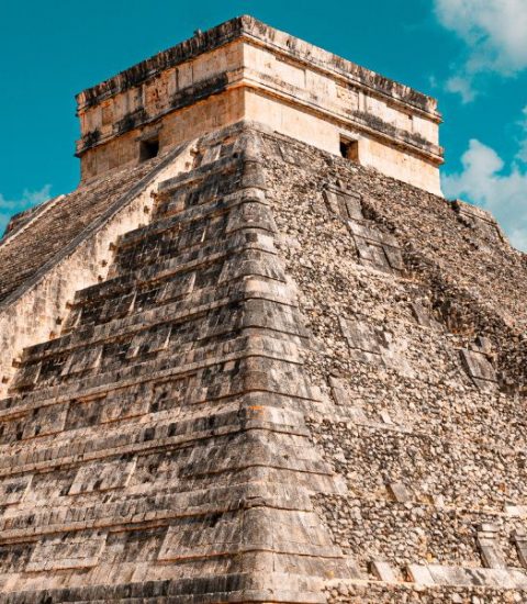 Guide francophone Mexique Barracuda