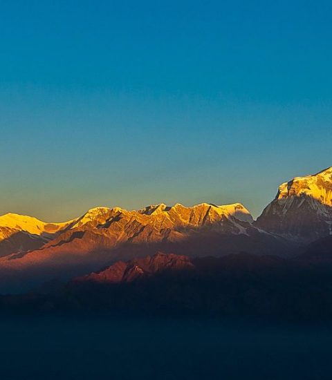 Guide francophone Népal