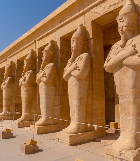 Guide francophone en Égypte