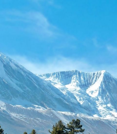 Guide francophone local Népal