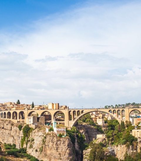 guide francophone alger algérie