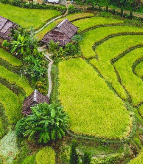 Guide francophone local Chiang Mai Thaïlande